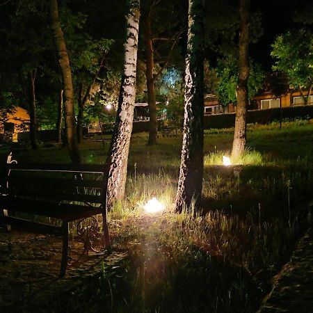 Воллен Zhvanets Экстерьер фото