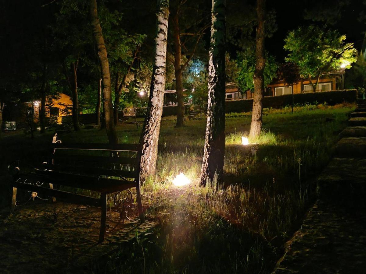 Воллен Zhvanets Экстерьер фото