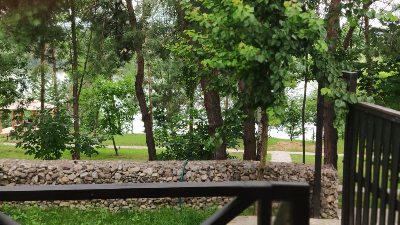 Воллен Zhvanets Экстерьер фото