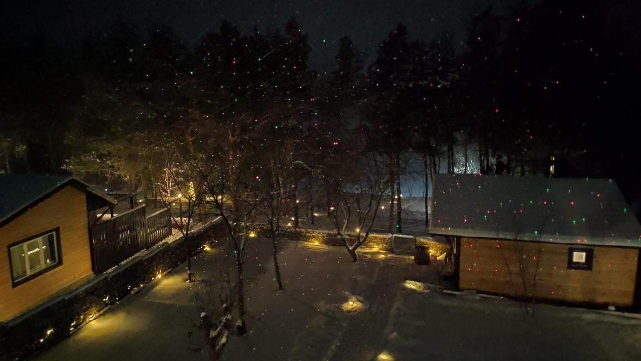 Воллен Zhvanets Экстерьер фото