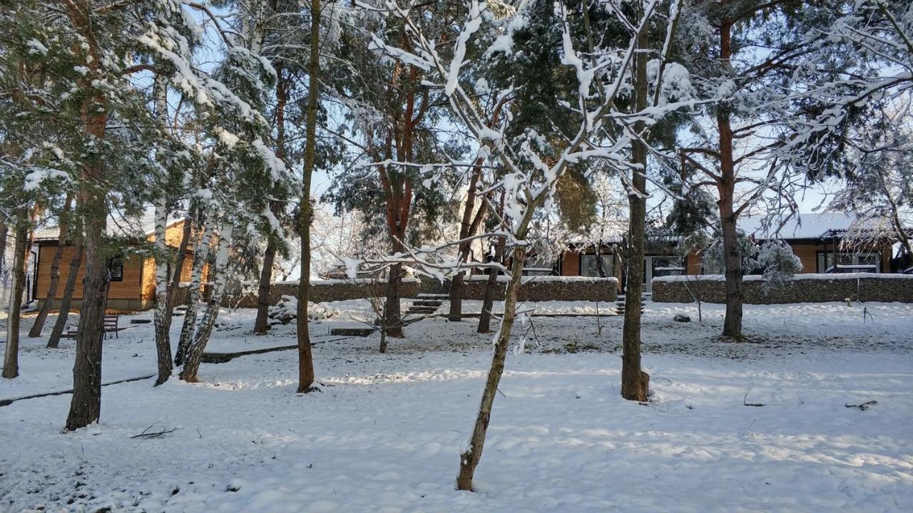 Воллен Zhvanets Экстерьер фото
