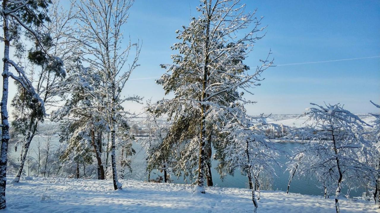 Воллен Zhvanets Экстерьер фото