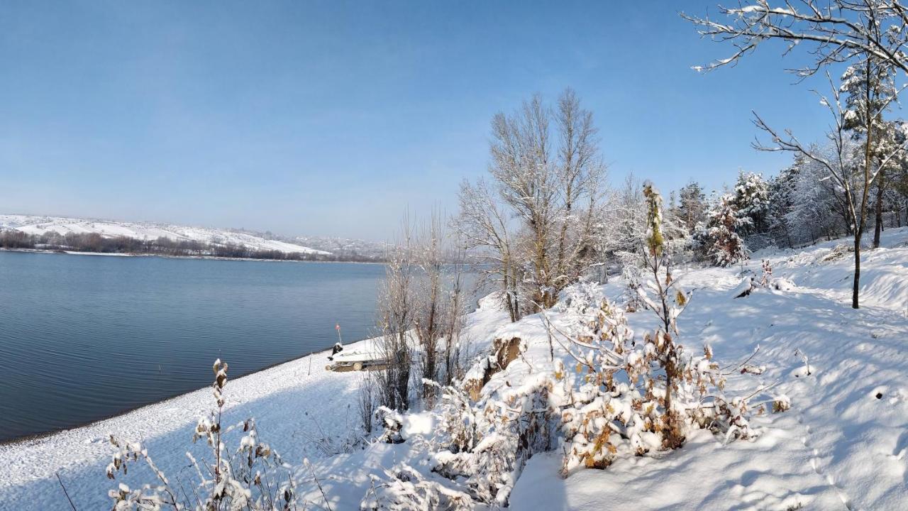 Воллен Zhvanets Экстерьер фото
